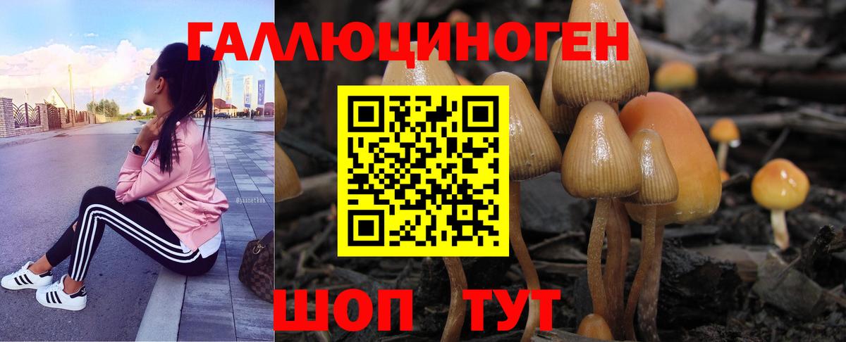Псилоцибиновые грибы прущие грибы Нижнеудинск